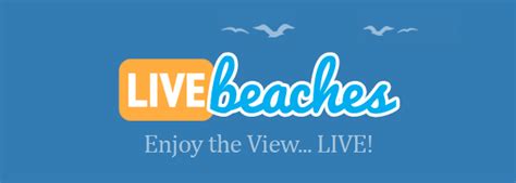 live seccams|Watch Live Beach Webcams of U.S. Beaches & Caribbean Islands